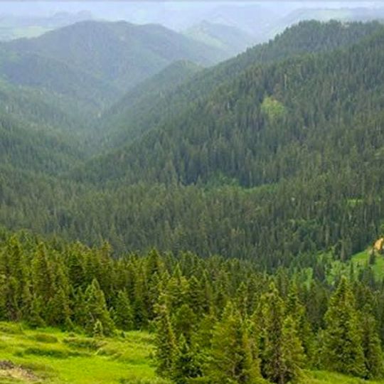 Umpqua National Forest