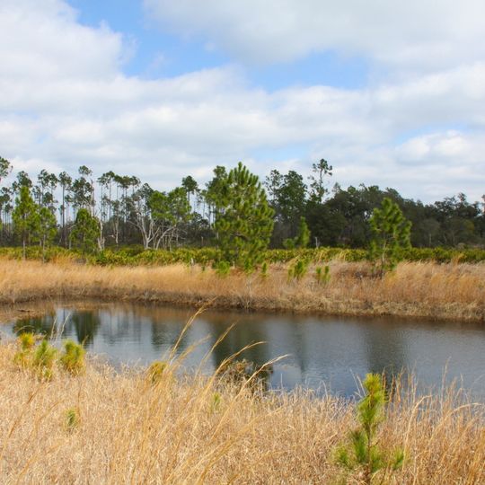 Lake Wales Ridge State Forest