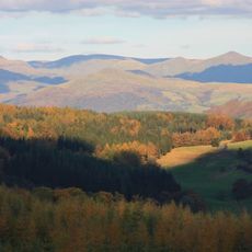Grizedale Forest