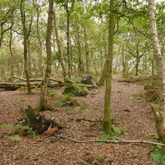 Colline fortifiée de Woodhouses