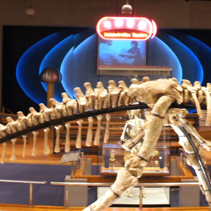 Hongkong Science Museum