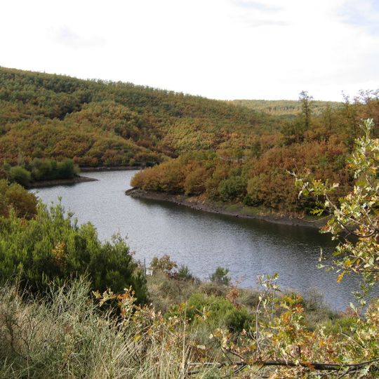 Hayedo de Riofrío de Riaza