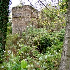 Burgruine Hinterfrankenberg