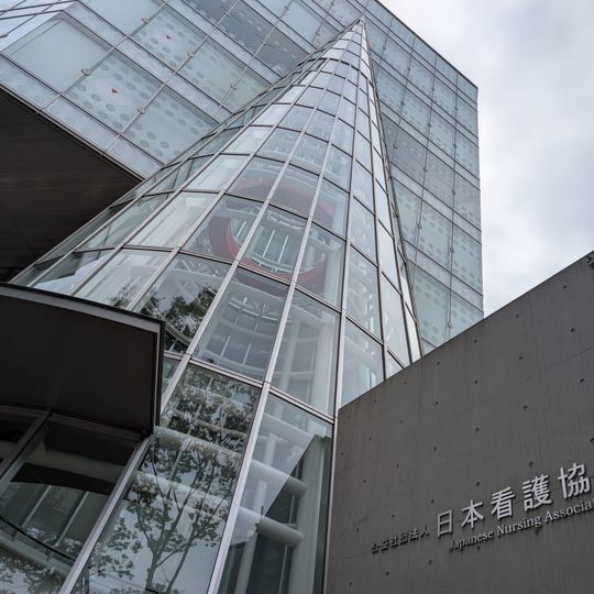 Japanese Nursing Association