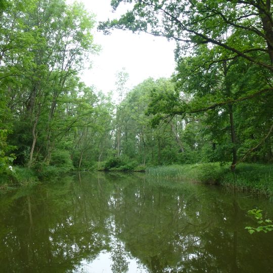 Donauauen Blindheim-Donaumünster