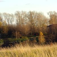 Uchkhoza "Prigorodny"