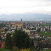 Municipality of Vojnik