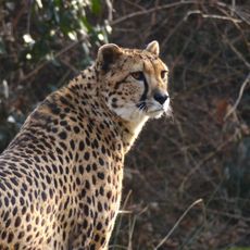 Parco faunistico La Torbiera