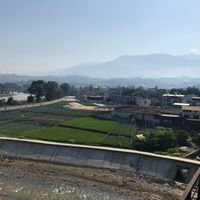 Binggu