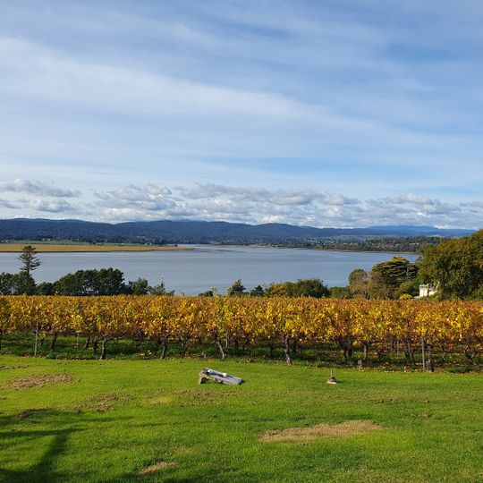 Tamar Valley Wine Tours