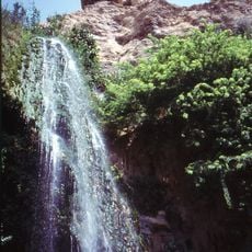 Ein Gedi