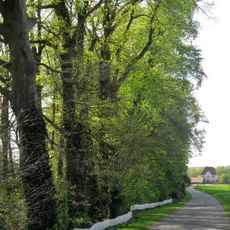 Bachlauf mit Steilufer
