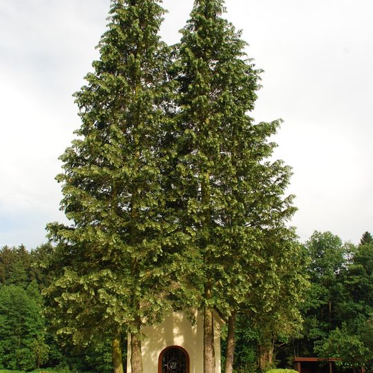 Hofkapelle mit Inventar