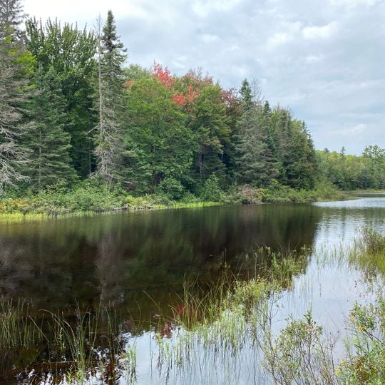 McCormick Wilderness