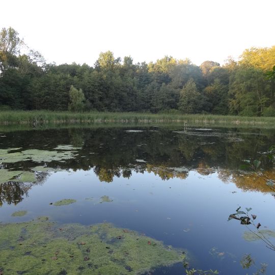 Naturschutzgebiet Die Mengelshäuser Teiche