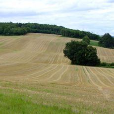 Kreisgrabenanlage Karnabrunn