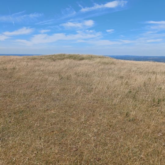 Two groups of round barrows SE of Firle Beacon