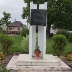 Památník Petra z Mladoňovic