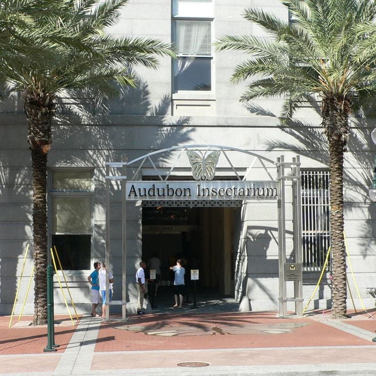 Insektarium Audubon