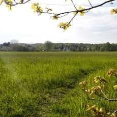 Bühlauer Wiesen