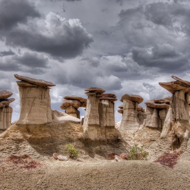 Zone d'étude de wilderness Ah-Shi-Sle-Pah