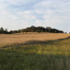 Krohnenberg