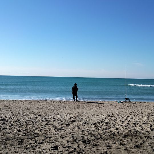 Spiaggia comunale libera di Castelporziano