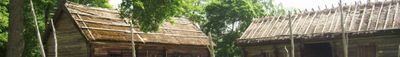 Panoramic View 1