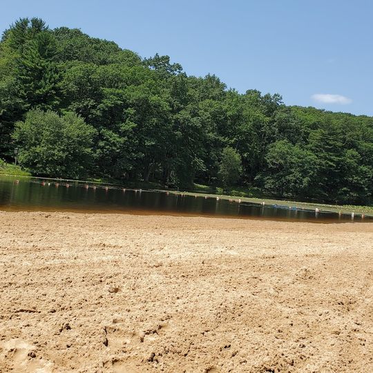 Black Moshannon Beach