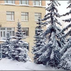 Institute of Applied Mathematical Research of Karelian Research Centre of RAS