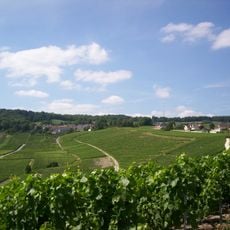 Coteaux d’Hautvillers