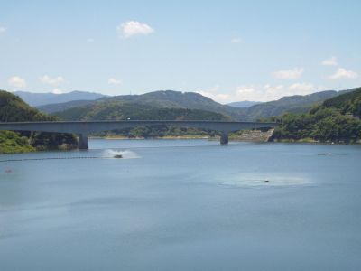 Immagine alternativa