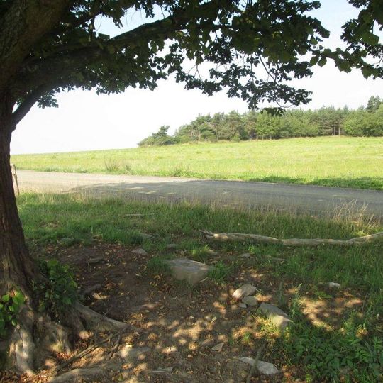 Kříž severovýchodně od Damnova