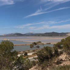 Ses Salines Natural Park