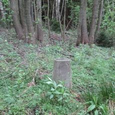 Kříž u rybníka Víska jihovýchodně od Nové Vísky