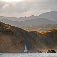 Región de Wellington