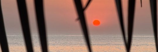 Martha Fredriksen Profile Cover