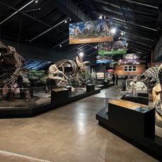 Houston Museum of Natural Science - Sugar Land