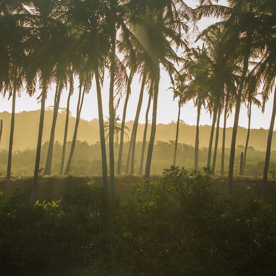Refúgio de Vida Silvestre do Rio dos Frades