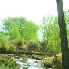 Crystal Springs