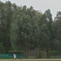 Harelbeke