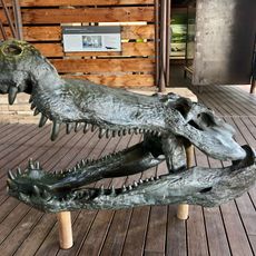 Fossil Bone Exhibit