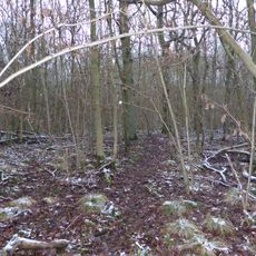 Stoke Wood End Quarter