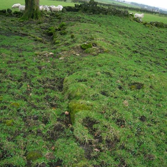 Hill of Beith Castle