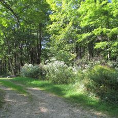 Brooks Woodland Preserve