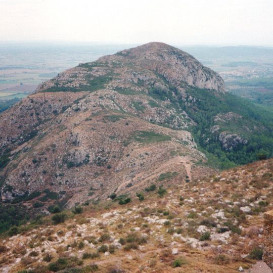 Puig Rodó
