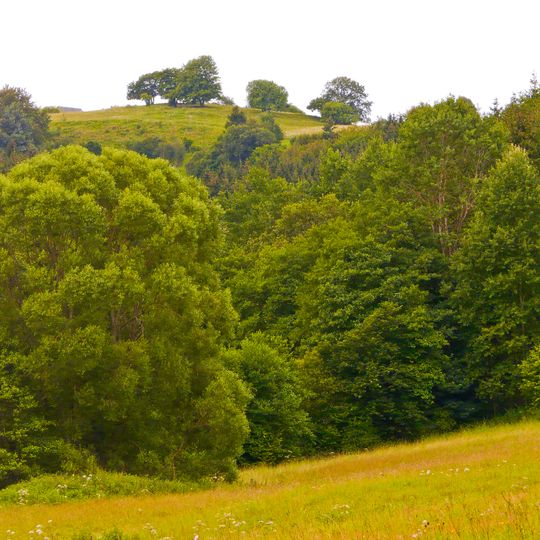NSG Schaafbachtal mit Seitentaelern und Stromberg