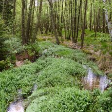 Blaue Berge mit Hardautal