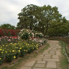 Fukuyama Rose Park