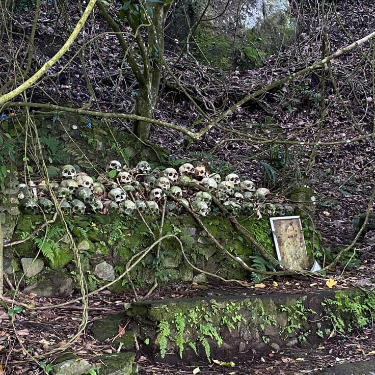 Cmentarz Terunyan w Bali